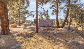 43942 Rainbow Ln, Angelus Oaks, CA 92305