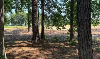 47 Manchester Ct, Bluffton, SC 29910