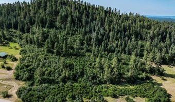 554 Pine Spring Dr, Bayfield, CO 81122