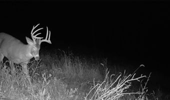 County KK, Alma, WI 54610