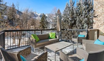 990 E Hopkins Ave, Aspen, CO 81611