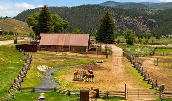 1220 Wilder Mountain Rd, Almont, CO 81210