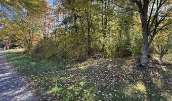 Walnut Street, Andover, OH 44003