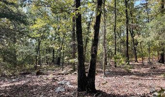 Tract 52 E 1885 Road, Antlers, OK 74523