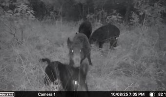 S80 Helt Rd, Antlers, OK 74525