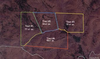 Tract 4 Hidden Valley, Annapolis, MO 63628