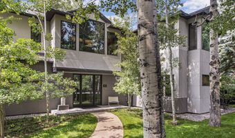 307 N Sixth St, Aspen, CO 81611