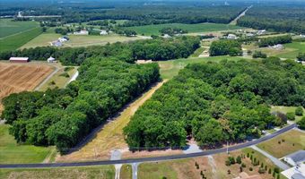 LOT 1 W JONES RD, Frankford, DE 19945