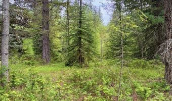 258 Welcome Ln, Bonners Ferry, ID 83805