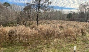 Julius Bridge Road, Ball Ground, GA 30107