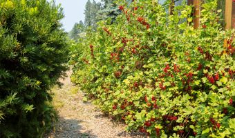 21848 Mt Highway 35, Bigfork, MT 59911
