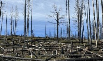 Hicks Rd, Bly, OR 97622