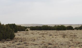 21 County Rd, Concho, AZ 85924