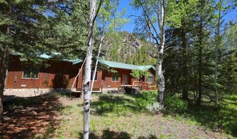 11109 County Road 742, Almont, CO 81210