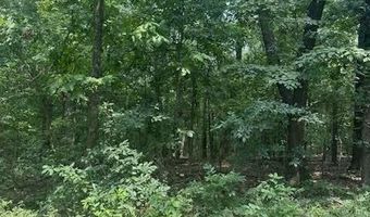 Private Road Cc-200, Alton, MO 65606