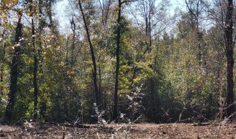 NW Tommy Tucker Road lot 1, Altha, FL 32421