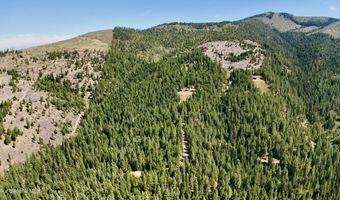 1710 Tower Mountain Rd, Blanchard, ID 83804