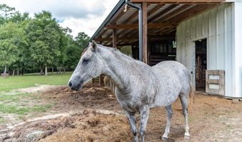 6263 Old River Rd, Baker, FL 32531