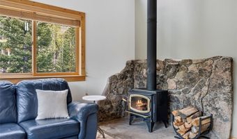 366 Quartzville Rd, Alma, CO 80420