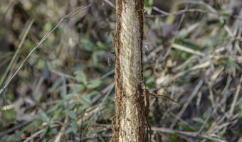 2116 Highway 84 E, Brookhaven, MS 39601