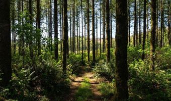 32185 UPPER NESTUCCA RIVER Rd, Beaver, OR 97108