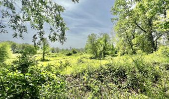 16400 28 Mile Rd, Albion, MI 49224