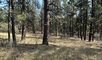 Lot 8 Seal Lane, Bonanza, OR 97623