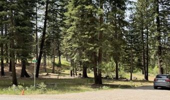 Cedar Way, Alturas, CA 96101