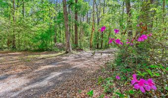 7095 Parkers Ferry Rd, Adams Run, SC 29426