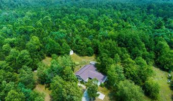 14143 Erdman Rd, Arcadia, MI 49613