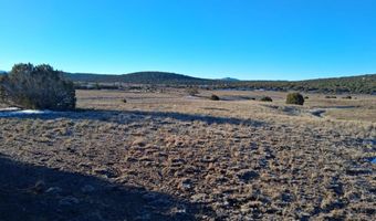 286 County Rd, Concho, AZ 85924