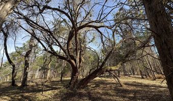 Parcel A DULWICH DR, Amherst, VA 24521