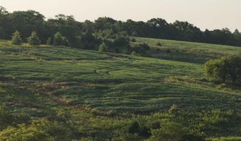 189 Th St, Albia, IA 52531