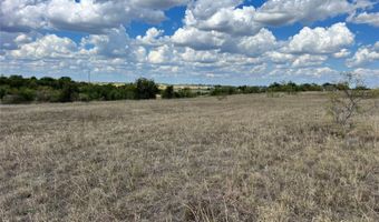 4076 Grizzly Trl, Aledo, TX 76008