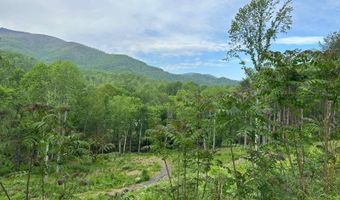 000 Pumpkin Patch Rd, Bakersville, NC 28705