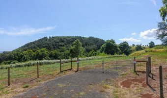 LOLO RD Lot #: 150, Kalaheo, HI 96741