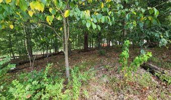 Boxford Circle lot 1, Bella Vista, AR 72715