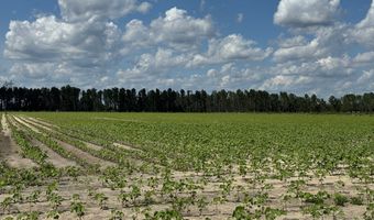 0 Melton Chapel Rd, Baxley, GA 31513