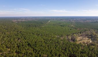 527 Forest Service Rd, Apple Springs, TX 75926