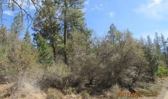 Brown Bear Lane lot 12W2, Bonanza, OR 97623