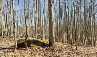 Crescent Hill Lane, Andes, NY 13731