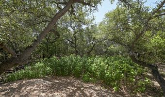 464 Paradise Hls, New Braunfels, TX 78132