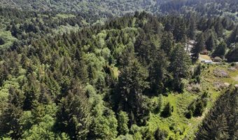 20452 Whaleshead Rd, Brookings, OR 97415