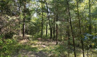 7 N Hall Rd, Antlers, OK 74523