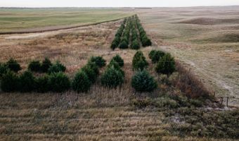 0000 450th Rd, Bassett, NE 68714