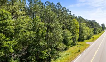 29 81 Ac Hwy 49 And Hwy 13, Brooklyn, MS 39425