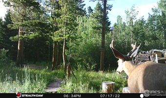 84 County Road 113 S, Allenspark, CO 80510