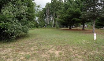 S Forest Lake, Alger, MI 48610