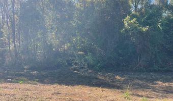 7 3 +- Acres Hwy 84, Ashford, AL 36312