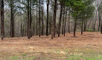 Willow Grove Hwy lot 1, Allons, TN 38541